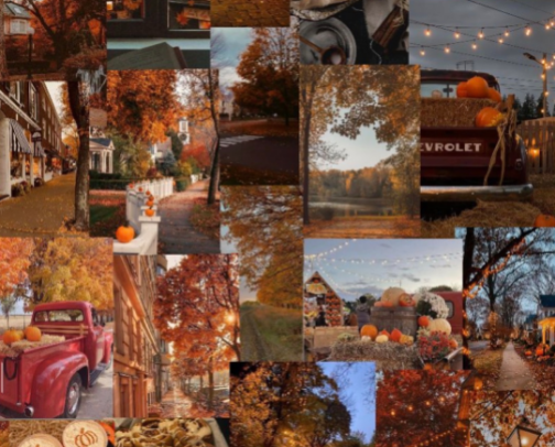 Fall 2026 Wishlist cover photo collage