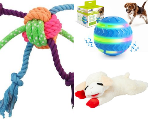 Dog toys cover photo collage