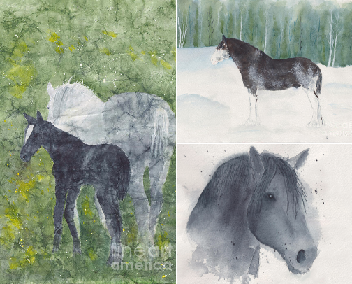 Horses I have loved and painted! cover photo collage