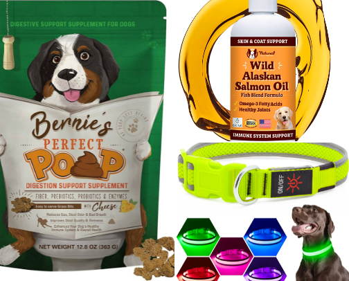 Must haves for the most spoiled dogs cover photo collage