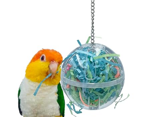 Masterlist for Bird supplies cover photo collage