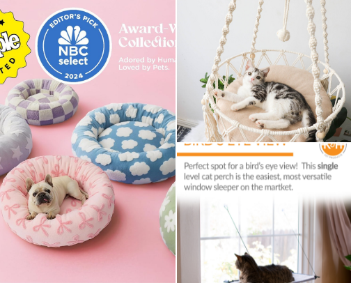 We adopted a cat!  Now what?!? 🐾 cover photo collage