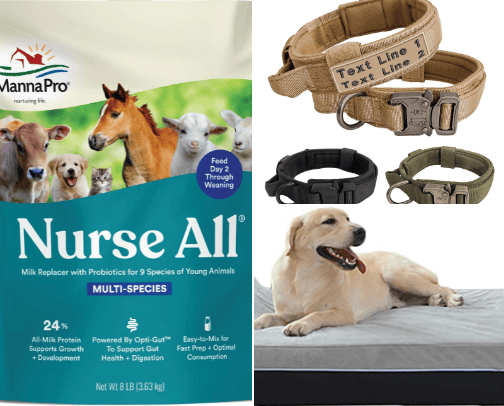 Doggy Delights! cover photo collage