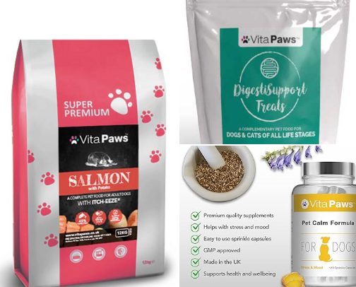 Dog products for your furry friend 🐶 cover photo collage