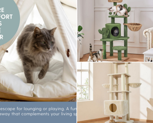 Cat & Dog essentials cover photo collage