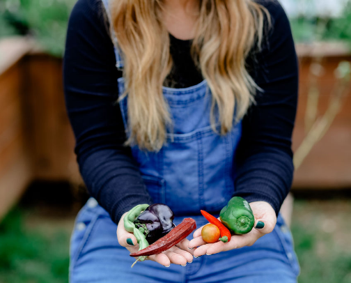 The Harvey Homestead Journal | Suburban Homesteading, Sourdough, Garden & Home 🌱 cover photo collage