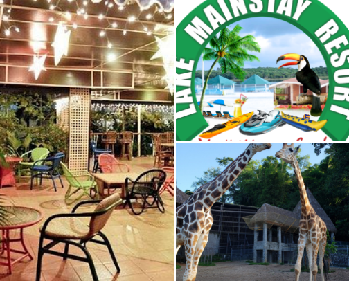 Places to Visit in Guyana 🇬🇾 and Trinidad 🇹🇹 cover photo collage