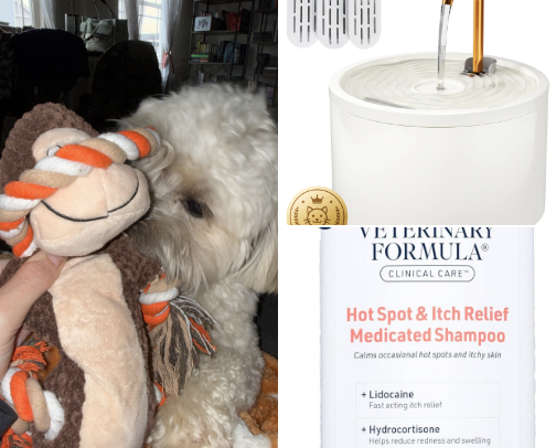 Furr Baby Approved cover photo collage