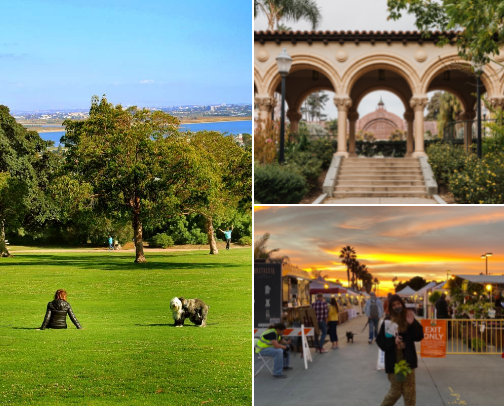 San Diego! cover photo collage