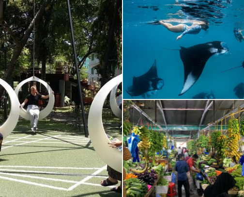 Best things to do in Maldives 🏊, and places to stay cover photo collage
