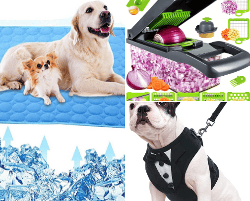 Steals, Deals, & Everyday Essentials cover photo collage