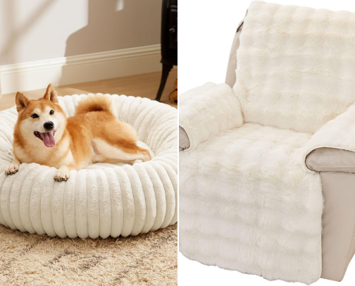 Ellie's Favorites: Creating a Cozy Home for Your Dog cover photo collage