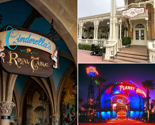 Disney🏰 Restaurants cover photo collage