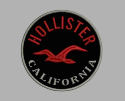 🌴 Hollister Essentials 2025 — Teen Must-Haves cover photo collage