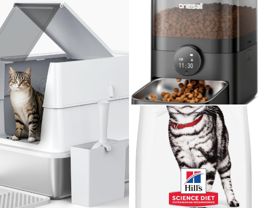 Make your cat happier with selected supplies cover photo collage