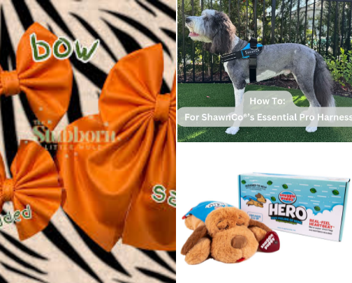 Dog accessories cover photo collage