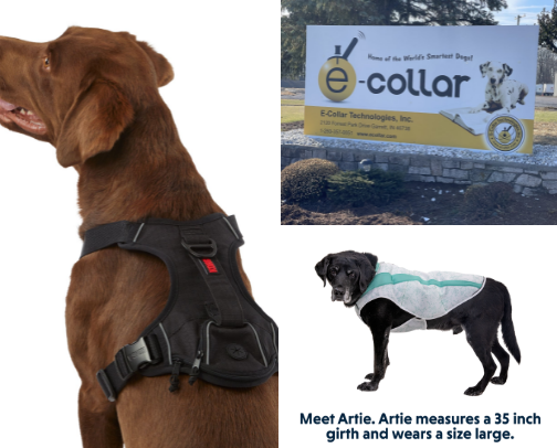 Pet Essentials cover photo collage