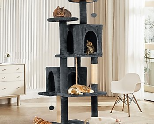 Cat Essentials cover photo collage