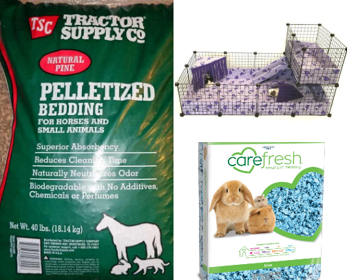 Guinea pig products I recommend for new owners! cover photo collage