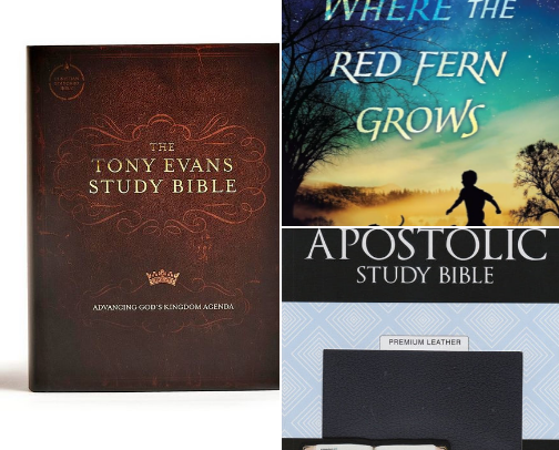 My favorite book recs cover photo collage