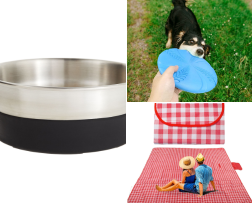 Things to take to the park if you have kids and dogs cover photo collage