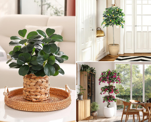 Greenery That Never Dies cover photo collage