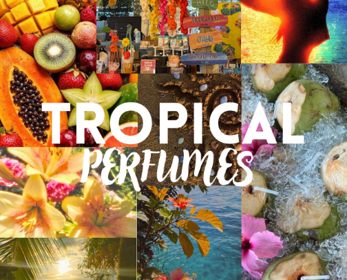 Tropical perfumes cover photo collage