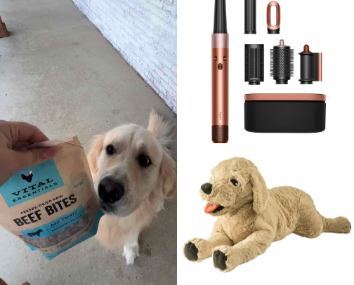 Bentley’s Golden Guide to Dog Life cover photo collage