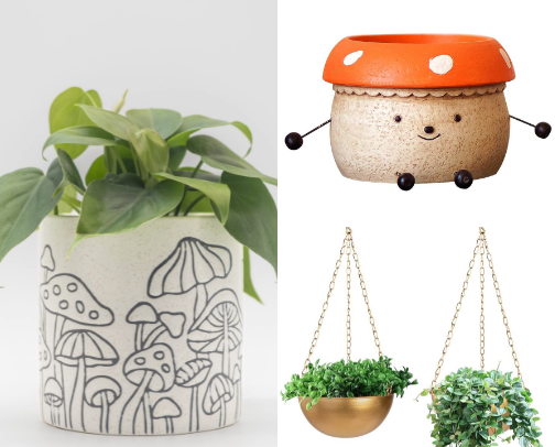 Supplies for Houseplants!! cover photo collage