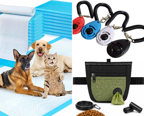 Everything Your New Puppy Actually Needs (No Fluff) 🐶 cover photo collage