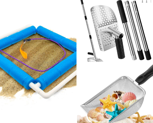 Shelling, Shark Tooth Fossil Hunting, and other Beachcoming cover photo collage