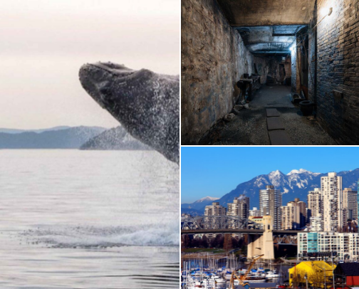 ✨ Goldie's Cities That Inspire You cover photo collage