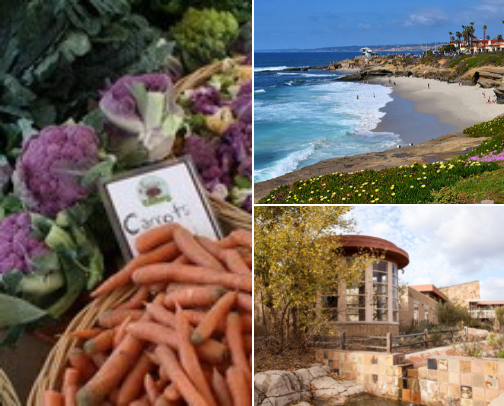 San Diego, CA Visitor Guide cover photo collage