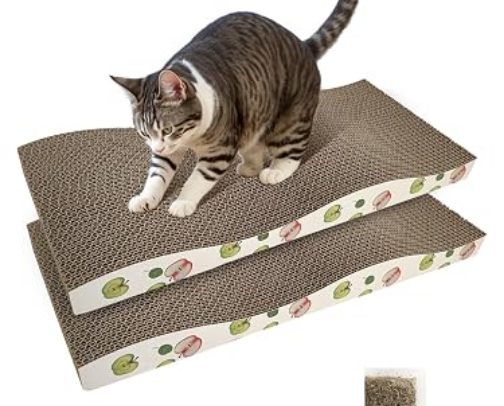 Cat Essentials for a Healthy Happy Fur Family cover photo collage