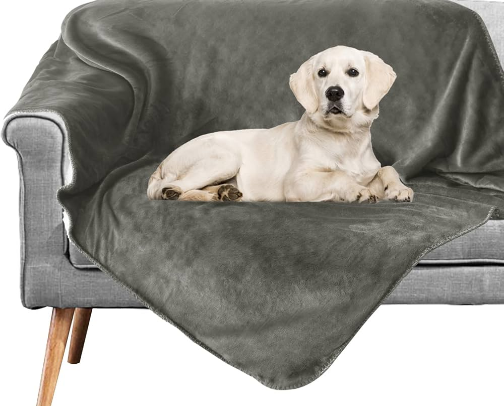 Blu the Clumsy labrador Favourites cover photo collage