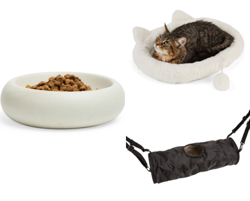 Ferret Cage Setup: Must-Have Items 🐾 cover photo collage