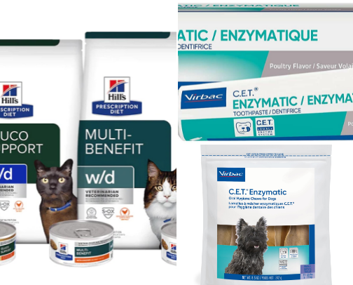 Vet recommendations for cat and dog owners cover photo collage