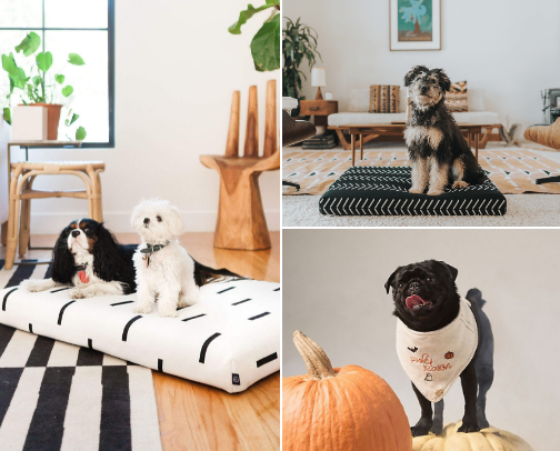 PAW-STYLE FINDS FOR MY LOVELY PUPPY! cover photo collage