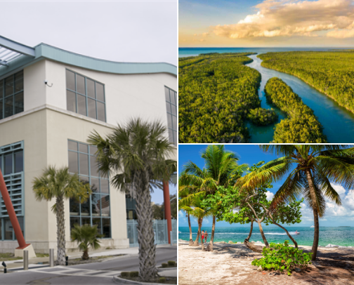 Places to Visit in Florida other Than Miami cover photo collage