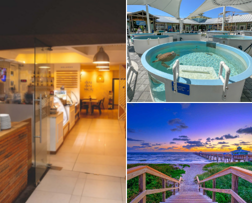 Places to Visit in Palm Beach County & Port Saint Lucie cover photo collage