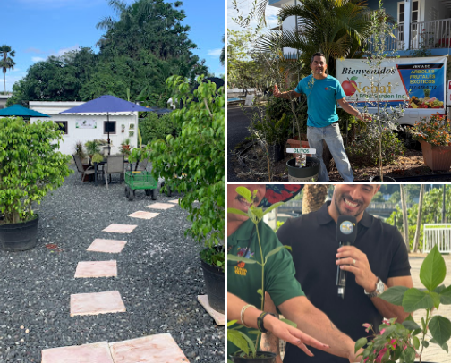 Puerto Rico Best Local Plant Places cover photo collage