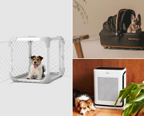 Welcoming A New Puppy Essentials cover photo collage