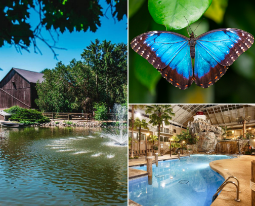 Where the Cool Crowd Goes🦋🍦🛝 cover photo collage