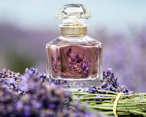Perfumes that feel expensive cover photo collage