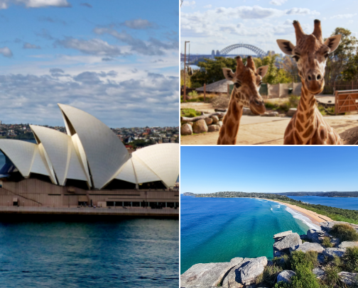 Sydney travel guide cover photo collage