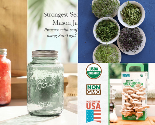 Homesteading Made Easy cover photo collage