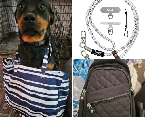 products you need on your next cruise, wish i knew this when i went on my first cover photo collage