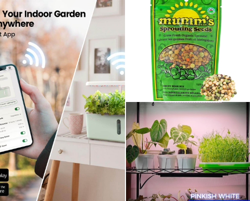 Must-Have Gardening Tools cover photo collage