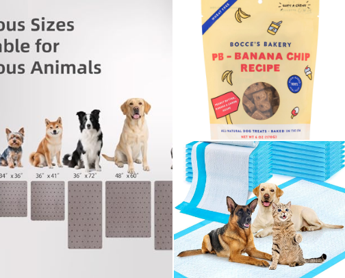 Senior Dog Necessities cover photo collage