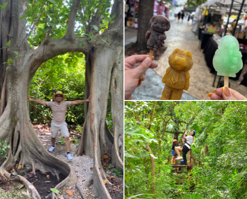To Do in Cancun cover photo collage
